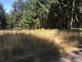 0 Morris Blvd Unit 1366283, Steilacoom, WA 98388