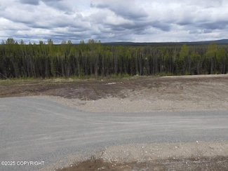 13439 W Excalibur Cir, Houston, AK 99694