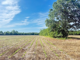 E Street Luke Church Rd Unit LotWP002, Johnsonville, SC 29555
