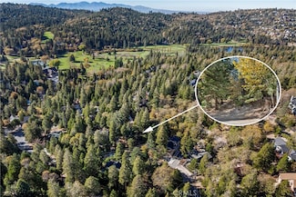 0 Pioneer Rd Unit IG25254528, Lake Arrowhead, CA 92352