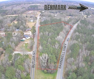 Tbd Barnwell Hwy, Denmark, SC 29042