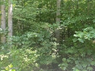 20 White Oak Ln, Leitchfield, KY 42754