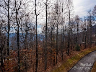 Lot 253 Haddington Dr, Mill Spring, NC 28756