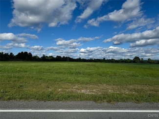 00 Lot #7 Plaza Dr Unit 31, Pamelia, NY 13601