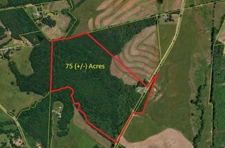 734 State Road S-42-90, Pauline, SC 29374