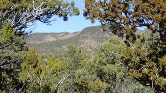 23 Mogollon Trail, High Rolls Mountain Park, NM 88325