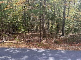 Lot 22 Heather Hill Rd, Delaware Township, PA 18328