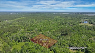 1194 Celtic Rd NE, Townsend, GA 31331