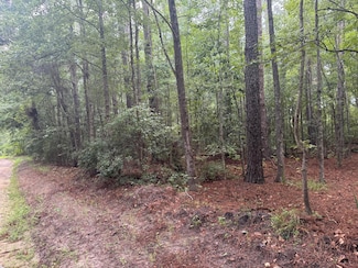 00 Charles St, Varnville, SC 29944