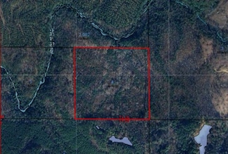 Unnamed Rd, Brilliant, AL 35548