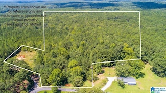 1739 Sandy Ridge Rd Unit 1, Alexander City, AL 35010