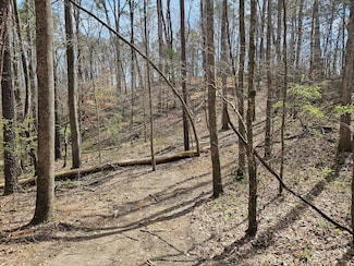 0 Hammock Rd Unit 23051354, Trussville, AL 35173