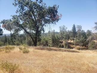390 Red Fox Rd, Mountain Ranch, CA 95246