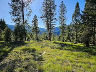 202 Packer Gulch Rd, Drummond, MT 59832