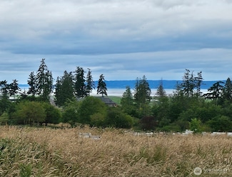 18524 Swanson Ln, Stanwood, WA 98292