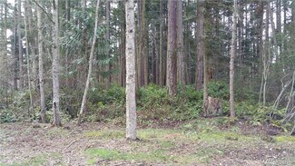 301 San Juan Dr, Friday Harbor, WA 98250