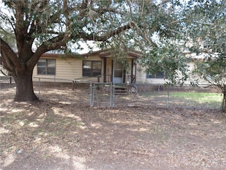 111 Shadywood Dr, Sandia, TX 78383