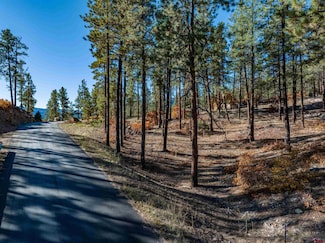 119 Hideout Trail, Durango, CO 81301