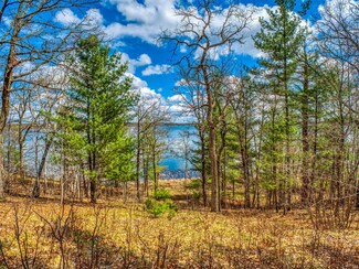 TBD Badger Ln SE, Frohn Township, MN 56601