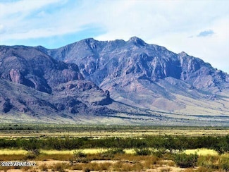Three Triangle Ranches #37 41 Acres --, Portal, AZ 85632