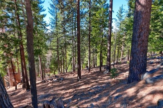 7349 & 7473 Yosemite Park Way, Yosemite West, CA 95389