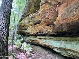 0 Bear Hollow Rd Unit 1301921, Oneida, TN 37841