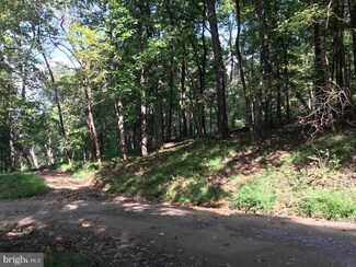 0 Doom Peak Rd Unit VAWR141648, Linden, VA 22642