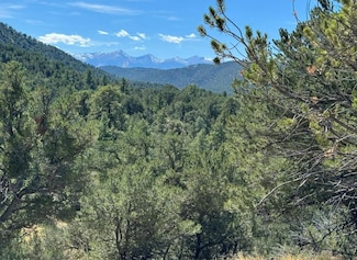 Lot 9 Sundance Rd, Cotopaxi, CO 81223