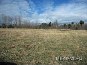 0 51 2 Ac Belden Corners Rd Unit 1401418, Dolgeville, NY 13329