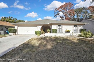 2603 Royal Ridge Dr, Spring Hill, FL 34606