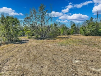TBD Johnson Stripling Rd, Perry, FL 32347