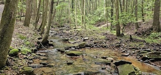 0 Oak Leaf Ln, Dunlap, TN 37327