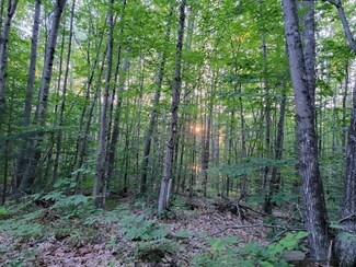 M35L35/36A Chretien Ln, Wilton, ME 04294