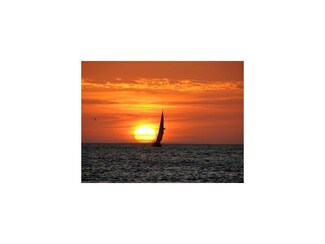 3200 Gulf Blvd Unit 310, Belleair Beach, FL 33786