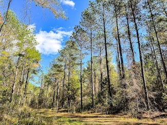 0 Old Honnoll Mill Rd Unit LotWP001 22046507, Columbus, MS 39740