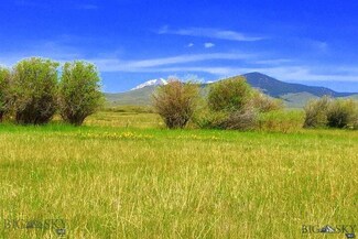 TBD Salmonfly Drive Lot 6a, Dillon, MT 59725
