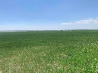 TBD Lower Spring Creek Rd, Hermosa, SD 57744