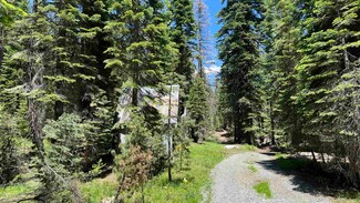 51460 Red Fir Dr, Soda Springs, CA 95728