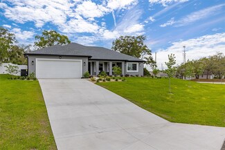 10110 Langan St, Spring Hill, FL 34608