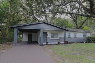 2931 E 148th Ave, Lutz, FL 33559