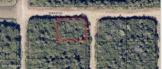 00 Tubbs Ave & Flers St SW, Palm Bay, FL 32908