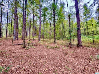 0 Highway 25 Unit 21435559, Columbiana, AL 35051