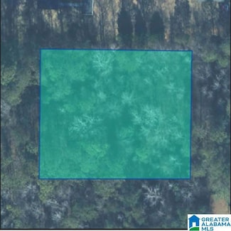 0 Lane Rd Unit 21434573, Oxford, AL 36203