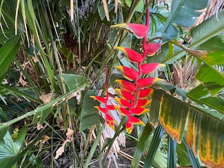 0 Kukuau St Unit 721423, Hilo, HI 96720