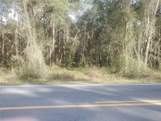 16369 SE 36th Ave, Summerfield, FL 34491
