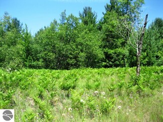 6680 W Sharon Rd SW, Fife Lake, MI 49633