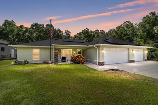 3 Bay Terrace Ln, Ocklawaha, FL 32179