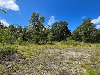 11950 SE 57th St, Morriston, FL 32668