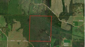 160 acres County Road 167, Moulton, AL 35650