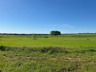 Lot 17 Monarch Ct, Poolville, TX 76487